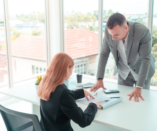 Real Estate Boss super solo